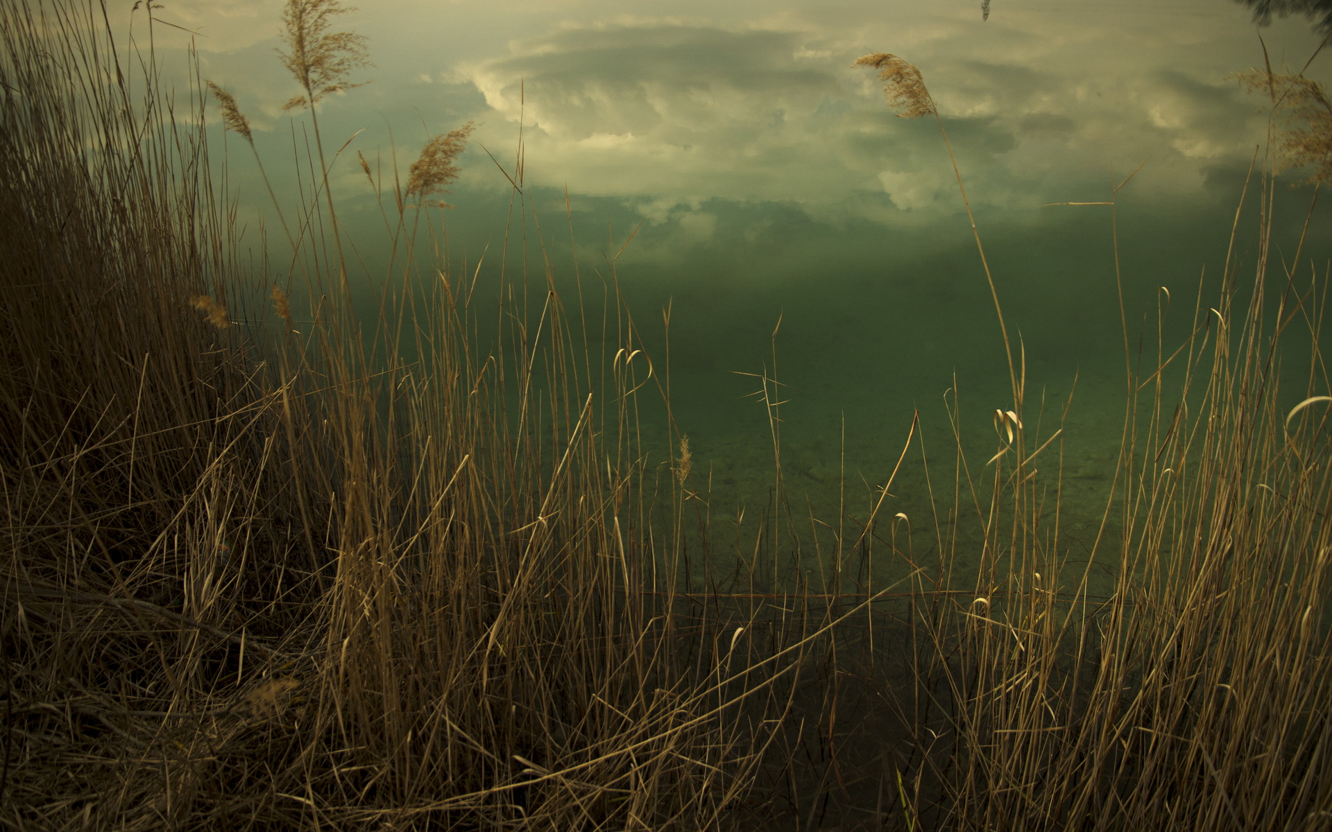 Photographie Nature - Coeur de reflet