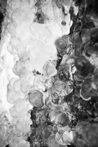 Photgraphie Nature N&B - Microcosme ice 1/2