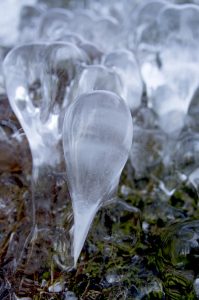 Photographie Nature - Microcosme ice 2/3