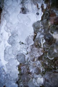 Photographie Nature - Microcosme ice 3/3