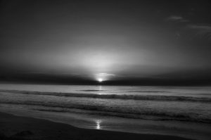 Photographie en noir et blanc, au paysage naturel, douce Lumière du matin